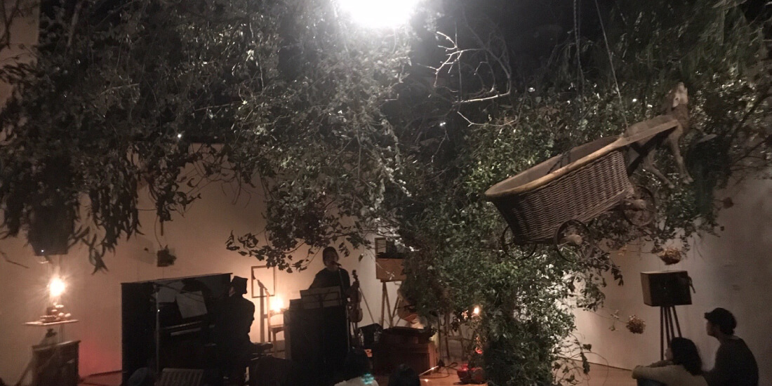 植物と空間のイメージ