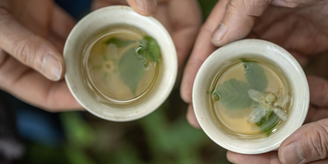 野の茶のイメージ